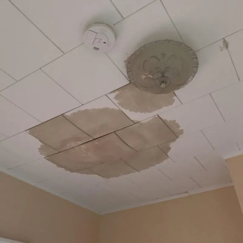 Ceiling Water Damage Repair in Overbrook, KS