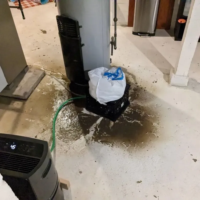 Sewage Backup Cleanup Service in Overbrook, KS